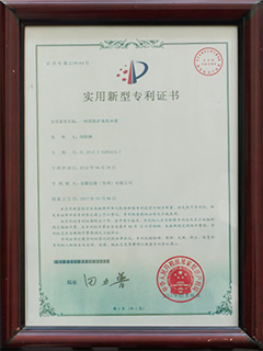 �F�o(h��)��ľ�䌣��