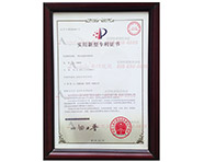 �����C��